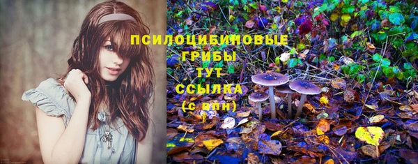 кокаин перу Алзамай