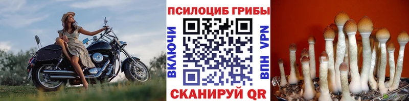 Псилоцибиновые грибы Magic Shrooms  Биробиджан 
