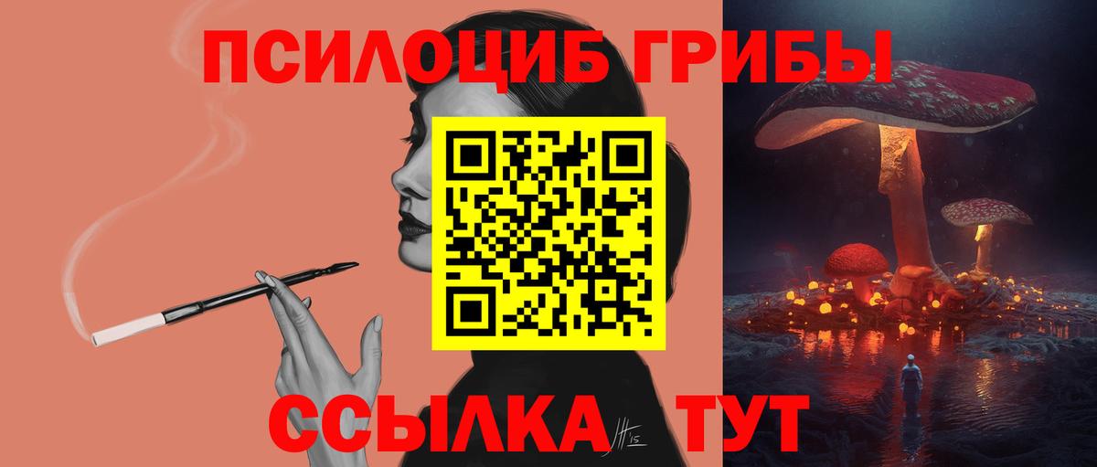 Биробиджан  Псилоцибиновые грибы Psilocybine cubensis  Галлюциногенные грибы Psilocybine cubensis  Вход с VPN 